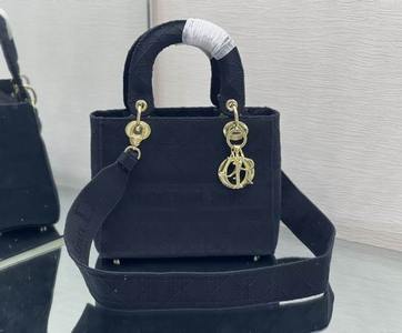 DIOR Handbags 580